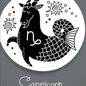 Meet your Posher, Nellie